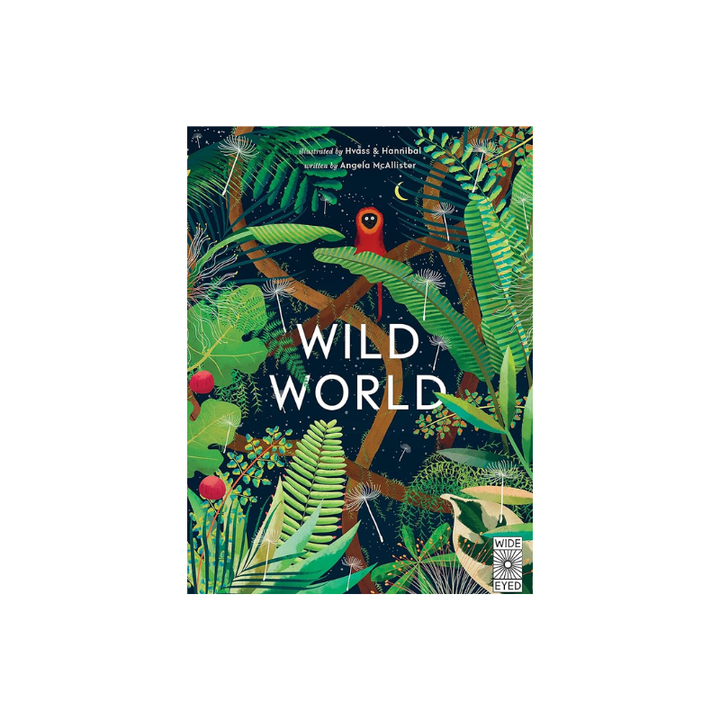 Wild World Book by Angela McAllister Little Earth Nest Books at Little Earth Nest Eco Shop Geelong Online Store Australia