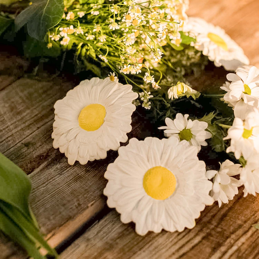 Margarita the Daisy Flower Teether by Oli and Carol Oli and Carol Dummies and Teethers at Little Earth Nest Eco Shop Geelong Online Store Australia