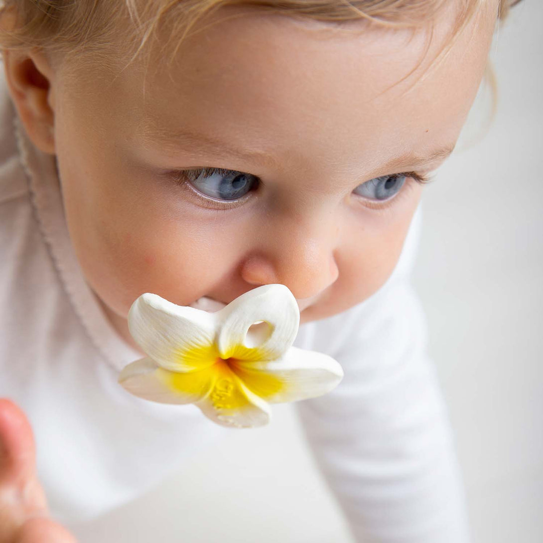 Hawaii Flower Teether by Oli and Carol Oli and Carol Dummies and Teethers at Little Earth Nest Eco Shop Geelong Online Store Australia