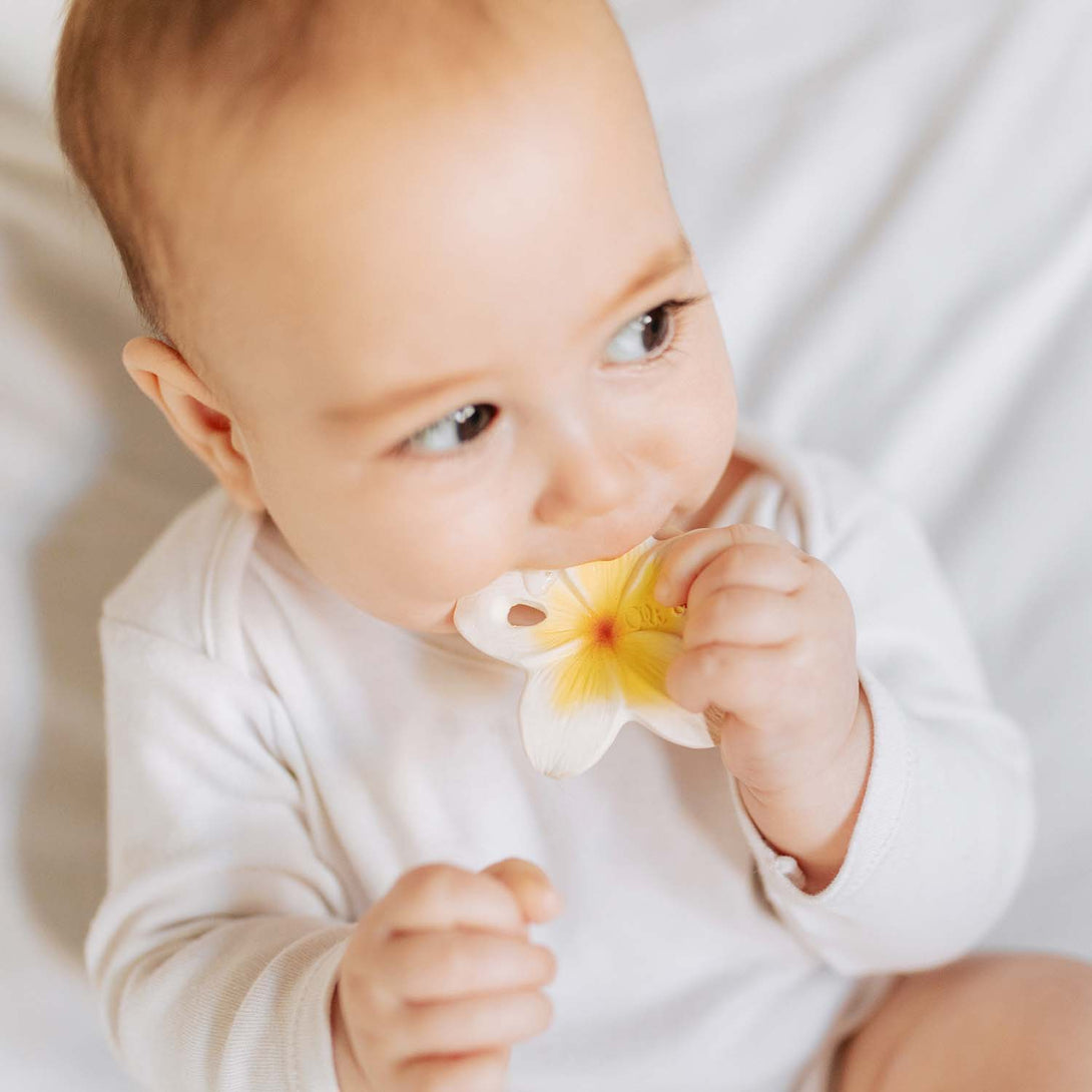 Hawaii Flower Teether by Oli and Carol Oli and Carol Dummies and Teethers at Little Earth Nest Eco Shop Geelong Online Store Australia