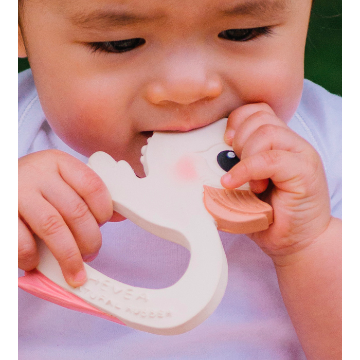 Hevea Kawan Teether Toy Hevea Baby Dummies and Teethers at Little Earth Nest Eco Shop Geelong Online Store Australia