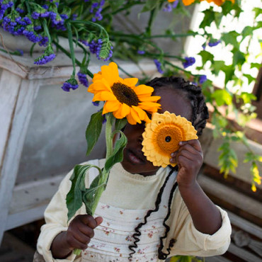 Sun the Sunflower Teether by Oli and Carol Oli and Carol Dummies and Teethers at Little Earth Nest Eco Shop Geelong Online Store Australia