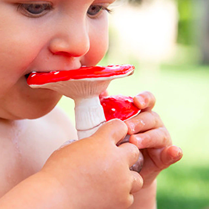 Spot the Red Mushroom Teether by Oli and Carol Oli and Carol Dummies and Teethers at Little Earth Nest Eco Shop Geelong Online Store Australia